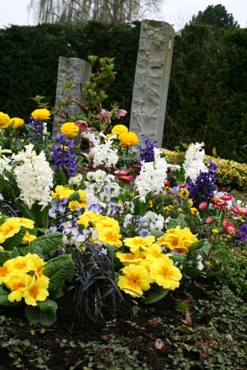 Memoriam Garten Bonn Premium 1